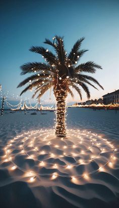 a palm tree is surrounded by lights on the beach