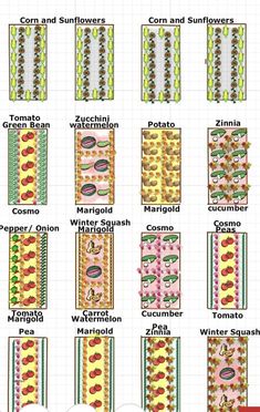 an image of different types of vegetables and their names in english, spanish, and german