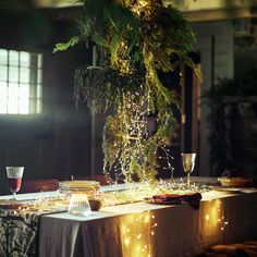 the table is covered with lights and greenery