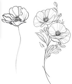 three flowers are shown in black and white, one is drawn with pencil on paper