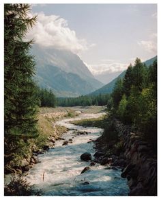 a river running through a lush green forest filled with lots of tall pine covered mountains