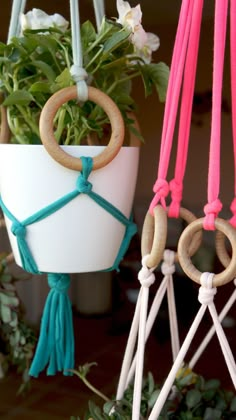 three plant hangers with wooden rings and ropes attached to them, hanging from the ceiling