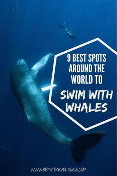 a whale swimming in the ocean with text overlay reading 9 best spots around the world to swim with whales