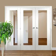 a potted plant sitting on top of a wooden floor next to two white doors