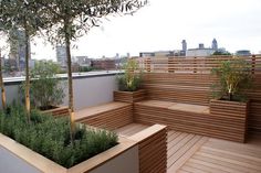 a wooden bench sitting next to a tree on top of a roof garden filled with plants