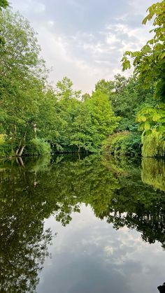 a body of water surrounded by lots of trees and bushes on either side of it