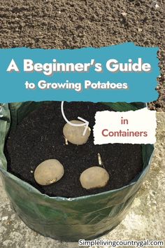 a bag filled with dirt and potatoes sitting on top of the ground next to a sign that reads, a beginner's guide to growing potatoes in containers