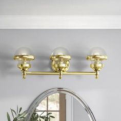 a bathroom light with three lights and a mirror on the wall next to a potted plant