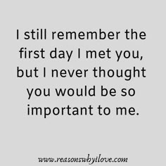 a quote that says, i still remember the first day i met you, but i never thought you would be so important to me