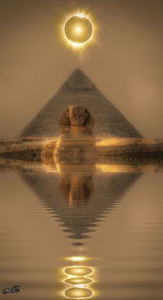 an image of a dog in front of the great pyramid with its reflection on the water