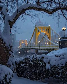 a bridge that is over some snow covered ground