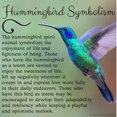 a hummingbird flying in the air next to a poem about hummingbird sybolism