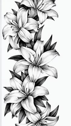 a black and white drawing of flowers with leaves on the bottom half of each flower