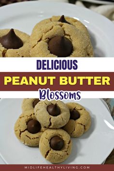 delicious peanut butter blossoms cookies on a white plate with chocolate chips in the middle and text overlay that reads delicious peanut butter blossoms