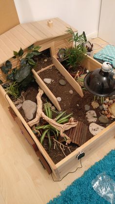 a wooden box filled with plants and rocks on top of a blue rug next to a lamp