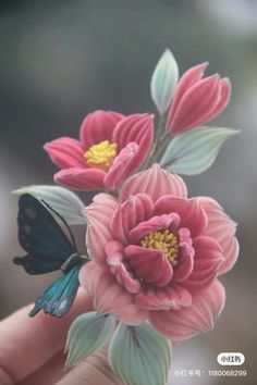 a hand holding two pink flowers with green leaves and a blue butterfly on the petals