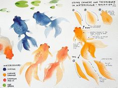 an image of watercolor fish in different stages of development and colors on white paper