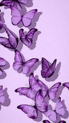 a group of purple butterflies flying in the air