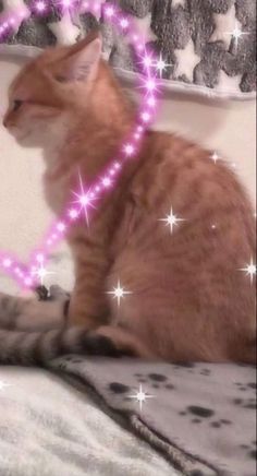 an orange cat sitting on top of a bed next to a pink heart shaped light