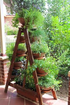 a wooden plant stand filled with potted plants on top of a brick floor next to a garden