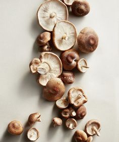 mushrooms are scattered on a white surface