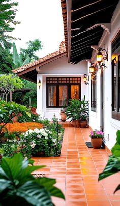 an outdoor patio with potted plants and flowers on the ground next to it's windows