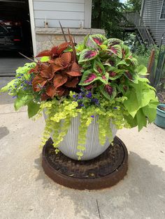 a large potted plant sitting on top of a wooden stand in front of a house