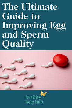 Read our Fertility Help Hub guide, along with fertility expert, Zita West, who shares invaluable advice for improving sperm and egg quality to improve chances of getting pregnant. Tap to read now and use code FHH10 for 10% off the Zita West fertility supplement range. Egg Quality Supplements, Improve Egg Quality Fertility, Embryo Implantation, Sperm Health, Fertility Help, Chances Of Pregnancy, Fertility Supplements, Egg Quality, Improve Nutrition