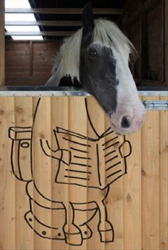 a horse sticking its head over the top of a wooden fence with words written on it