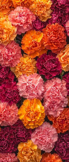 many different colored flowers are arranged together in the same pattern on this wall, as well as pink and orange carnations