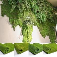 green moss growing on the side of a wall next to rolled up towels and vases