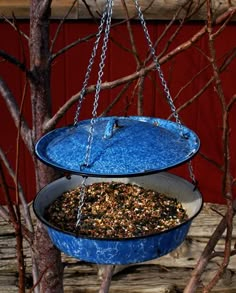 a blue bird feeder hanging from a tree in front of a red wall and some branches