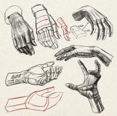 several different types of hands drawn in pencil