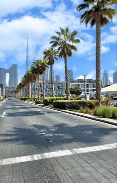 a street with palm trees and buildings in the background