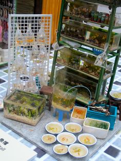 there are many bowls and containers on the table with food in them that is ready to be eaten