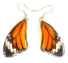 "HANDMADE REAL BUTTERFLY WING EARRINGS \"The Common Tiger\" This beautiful earrings are made from real butterfly wings(\"The Common Tiger\" ) . This earrings are colorful and unique jewelry made by the nature and they will give you a unique and attractive look. Measurements Wing Size(Approx):2.5\" L x 1\" W Material: Real butterfly wings & resin Coated (* Resin Coated Preserves the butterfly colors better than the laminated one & its Very durable) Thank you for watching." Butterfly Wings Earrings, Butterfly Colors, Cottagecore Earrings, Butterfly Wing Jewelry, Wings Earrings, Real Butterfly Wings, Grunge Jewelry, Real Butterfly, Butterfly Wing Earrings