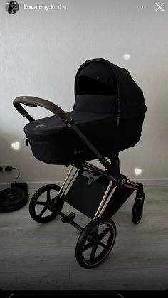 Pet Strollers, Welcome Home Baby, Nursery Baby Room, Dream Baby