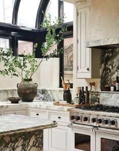 a kitchen with marble counter tops and an oven, potted plant on the stove