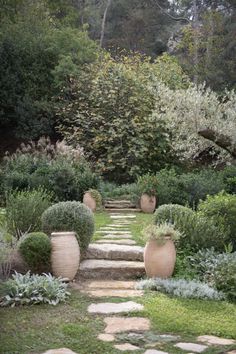 a garden with stone steps leading up to trees