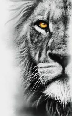 a black and white photo of a lion's face with yellow eyes, looking straight ahead