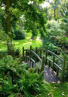 a wooden bridge in the middle of a lush green park