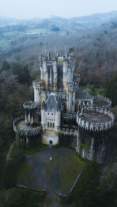 an aerial view of a castle in the woods