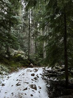 Winter vacation bucket list. evergreen trees Hiking Winter Aesthetic, Hibernation Aesthetic, Pnw Winter Aesthetic, Winter Outdoors Aesthetic, Nature Aesthetic Winter, Cottage Winter Aesthetic, Winter 2023 Aesthetic, Winter Aesthetic Forest, Pacific Northwest Winter