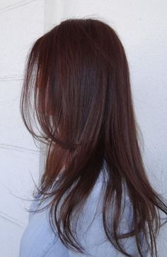 Dark Auburn Hair, Reddish Brown Hair, Brown Hair Inspo, Hair Tint, Red Brown Hair, Hair Color Auburn, Brown Hair Balayage