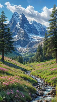 a stream running through a lush green valley