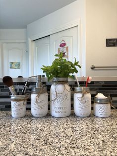 four mason jars sitting on top of a kitchen counter next to a potted plant