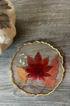 a glass plate with a leaf on it next to a white pumpkin and some leaves