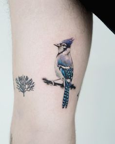 a small blue bird sitting on top of a tree branch next to a bare leg