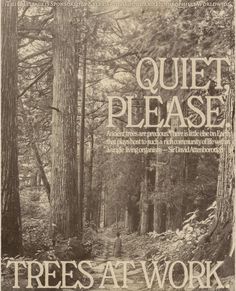 a book cover with trees in the background and text that reads quiet please, treat at work