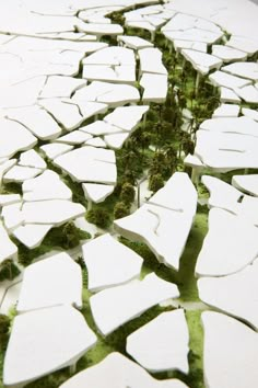 the ground is covered with white and green mosaic tiles that have been cut in half